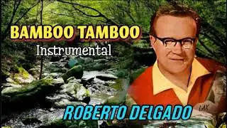 Roberto Delgado - Bamboo Tamboo (Instrumental)