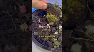 Вы не поверите что это😳 пиши в комментах ‼️ 