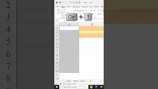 MS Excel Hidden Tips and Tricks ! 