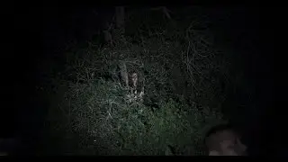 THE MEDIUM del director de SHUTTER - Trailer Thai Horror