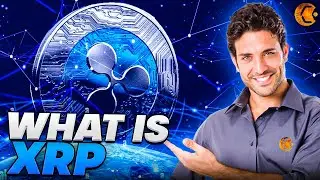 What Is XRP | Ripple Explained | What Is Ripple XRP