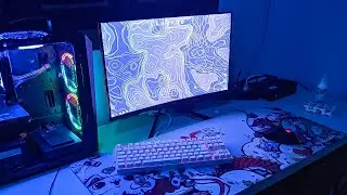 Reagindo aos SETUPS dos INSCRITOS 6