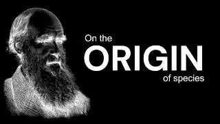 ORIGINS | Abiogenesis & Evolution Simplified