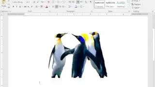 remove picture background in word