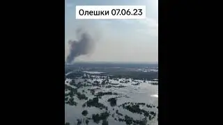 На відео окуповані росіянами Олешки. Місто затоплене на 90%, рівень води на вулицях сягає 3-х метрів
