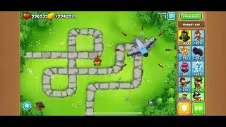 Dart monkey dies