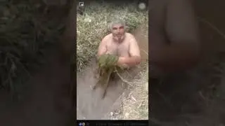 Van gölü canavarı