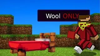minecraft but I can only use wool