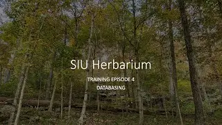 Herbarium databasing (transcription)
