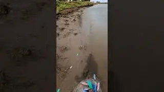 discovery of illegal fishing net