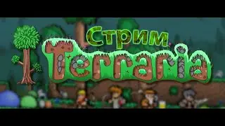 Стримим Терарию