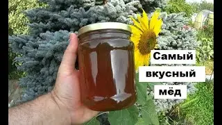 Самый вкусный мёд !