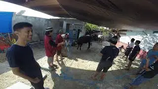 GOPR4163