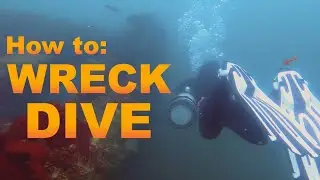 How to WRECK DIVE - For beginners