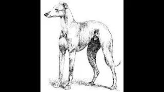 The Big Pioneer Dog: A Story of Prayer