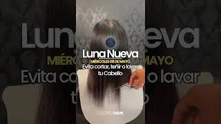 ¿Cuándo cortarse el cabello en Mayo 2024?🌙#cortesdecabello #bogotá #bogotá #calendariolunar