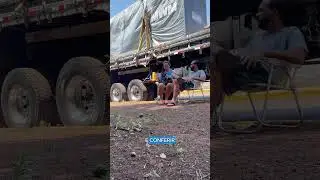 Cristal: parceira na estrada e na vida