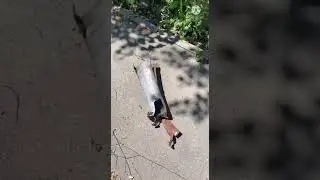 Прогулка Северной Салтовкой, от видео закипает кровь, будто кадры из фильма, а не реальная жизнь.