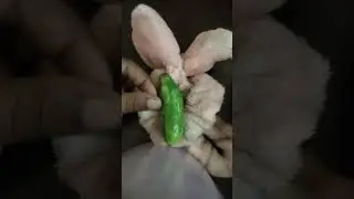 #subscribe