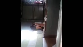 Rubik's Cube part 1