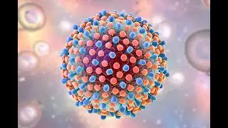 Tudo sobre a Hepatite.