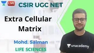 Extra Cellular Matrix (ECM) | Unacadmey Live CSIR UGC NET