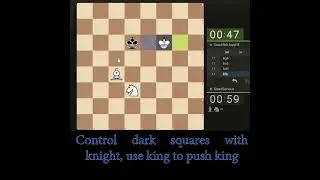 Bishop & Knight Mate in 6 Seconds