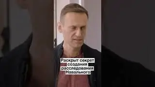 Секрет расследования Навального