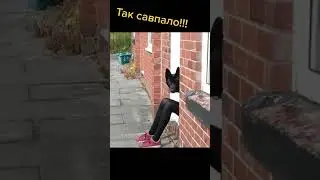 Так совпало! #юмор #shorts