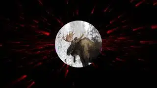 80's Lunacy - Bäck