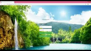 How to Run A JavaScript with ASP Button.