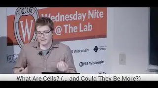 What Are Cells? (…And Could They Be More?)