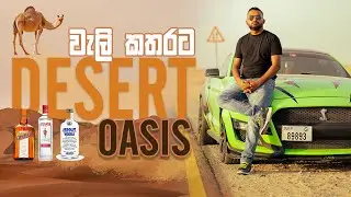 වැලිකතරට  කොක්ටේල් පොදක් ඉස්සින්නට....  | Desert OASIS