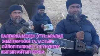 БАЛГАРКА МЕНЕН ОТУН АРАЛАП ЖЕМ ТАРТКАН ТАЛАСТЫК ОЙЛОП ТАПКЫЧ, ТЕЛ-055002 10 79