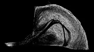 Tomas Tvarijonas - ATECTONIC Architecture