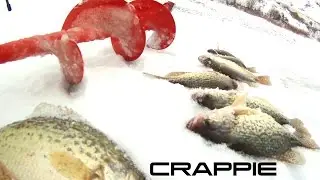 Ice fishing Crappie