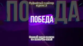 Пуфыстик :з  #battleroyale #bulletecho #gaming #линкс