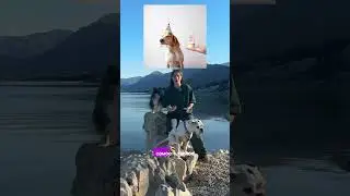 DOG'S BIRTHDAY????