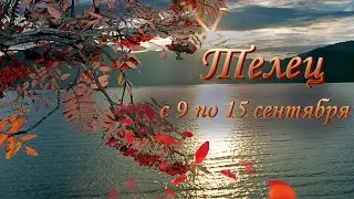 Телец Таро прогноз на неделю с 9 по 15 сентября 2024 года.