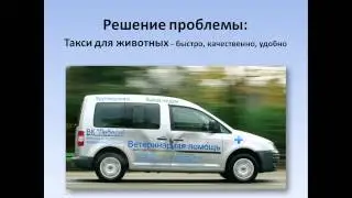 Зоотакси ветеринарных клиник Лебеди