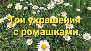 Создание украшений из сухоцветов.