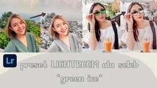 PRESET LIGHTROOM , TUTORIAL ALA SELEBGRAM!! | By #MiaRosiana