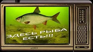Нереальная рыбалка с подводной камерой. Рыба сама красуется перед объективом!