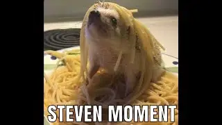 steven moment