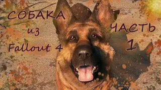Моделирование Собаки из Fallout4 Часть1 3Ds Max