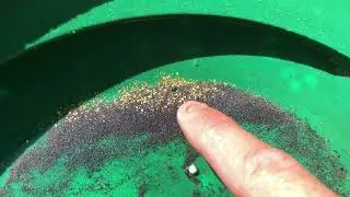Discovery of Gold! Hidden in Rocky Crevices