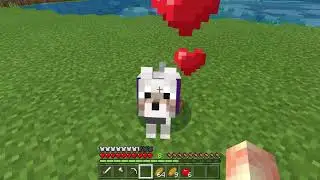 How to properly pet your Minecraft dog.