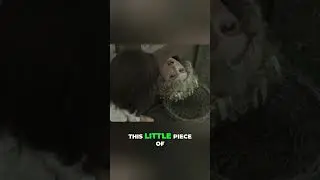 She's going all the way, baby!