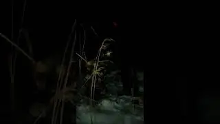 Костер на зимней рыбалке с ночевкой