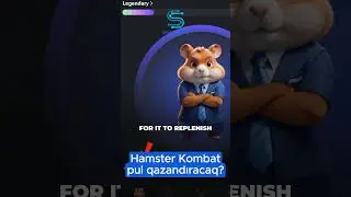 Hamster kombat pul qazandırırmı?  